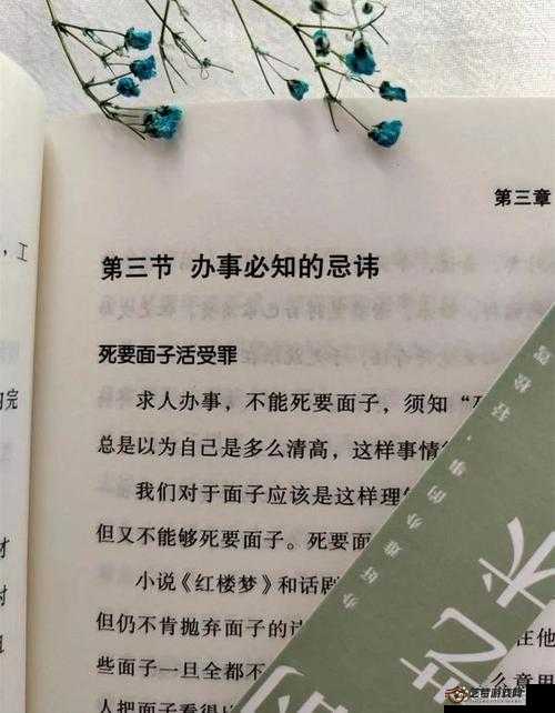 永无止境第二章攻略，掌握无回之门资源管理的精妙艺术